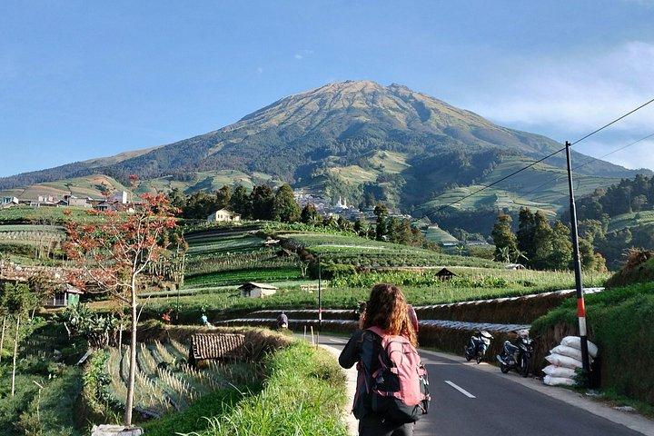 Nepal Van Java & Kedung Kayang Waterfall Tour from Yogyakarta