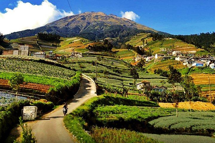 Nepal Van Java & Kedung Kayang Waterfall Tour from Yogyakarta
