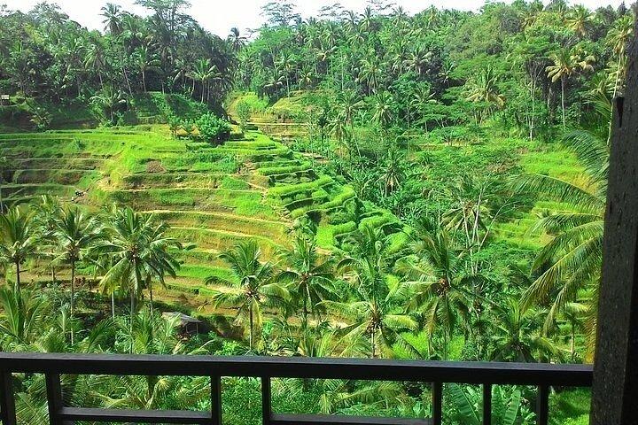 Bali: Batik Workshop & Ubud Experience - Privat alt inkluderet