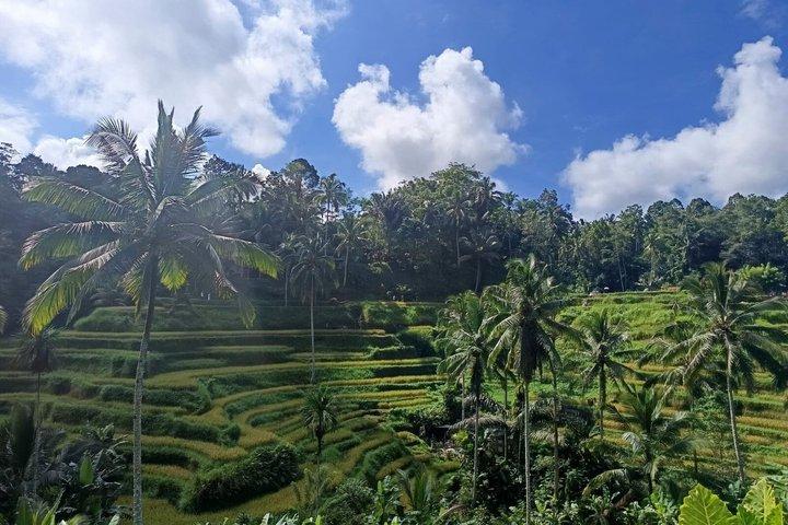 Bali：バティックワークショップ＆ウブド体験-プライベートオールインクルーシブ