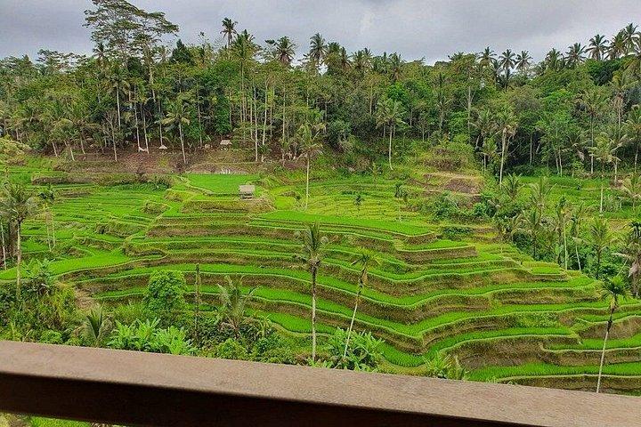Bali: Batik Workshop & Ubud Experience - Privat alt inkluderet