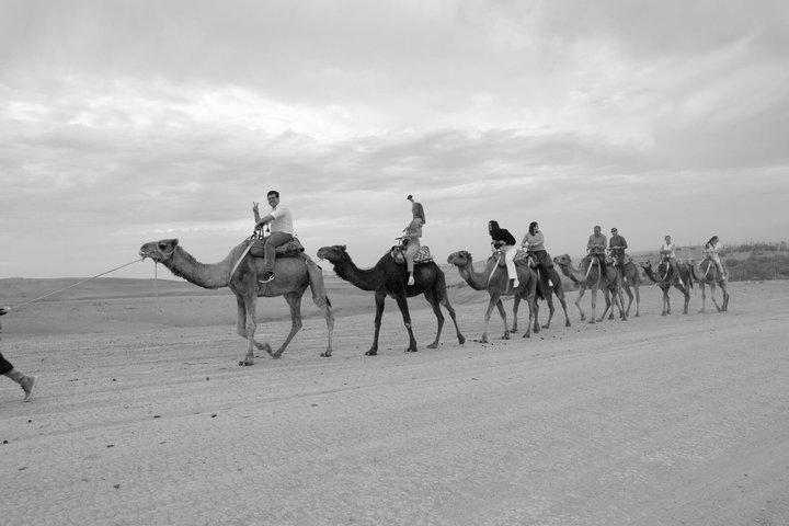 Agafay Desert Sunset Camel Ride de Marrakech & Chá Marrocos