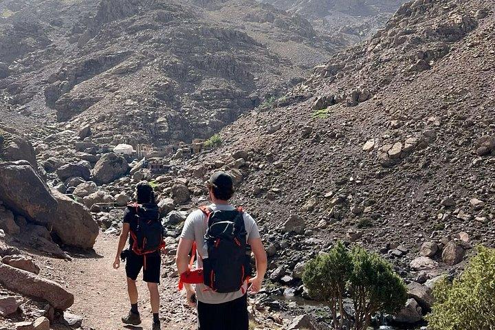 マラケシュ : アトラス山脈イムリル渓谷と滝ツアー