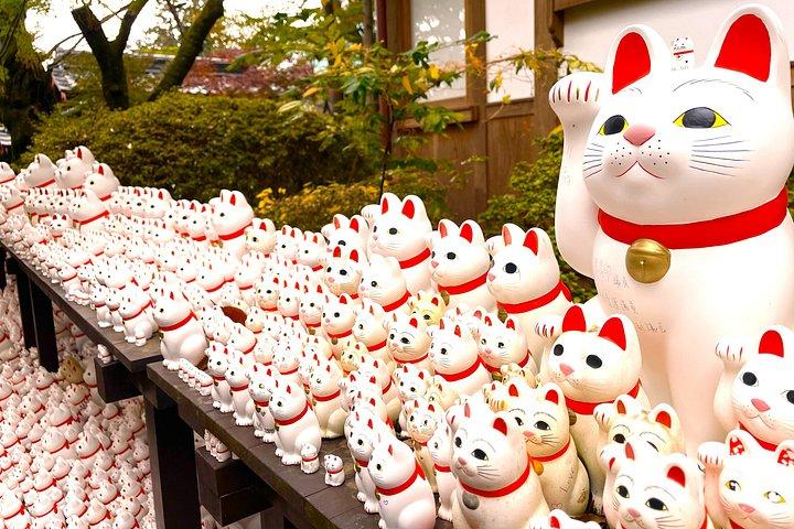 東京原宿キャットカフェ＆五対木授与猫寺ツアー
