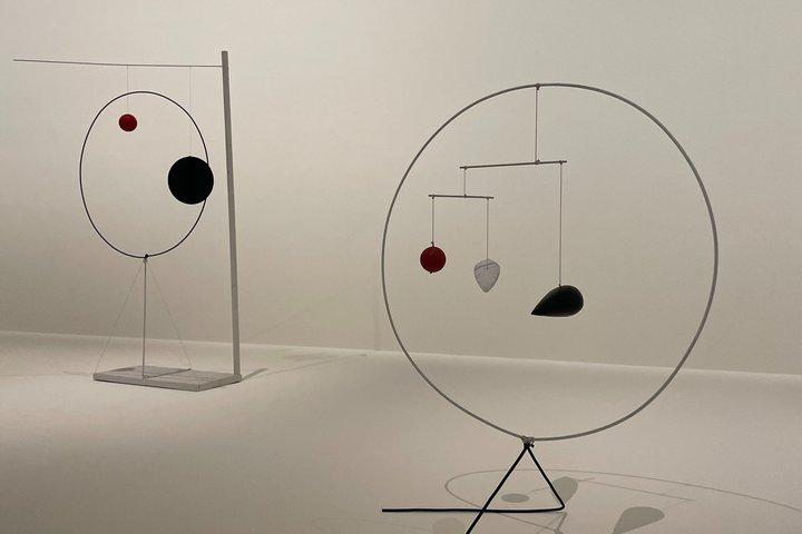 Fondation Louis Vuitton (Alexandre Calder) Privétour