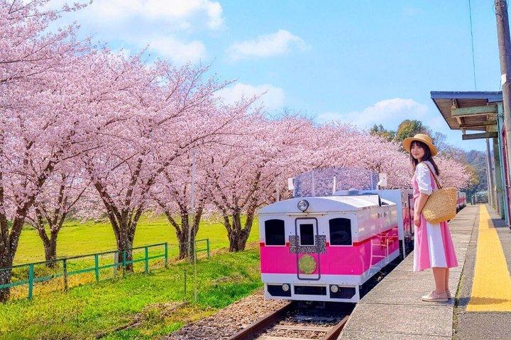 高千穂峡・高千穂鉄道＆天岩戸神社日帰りツアー