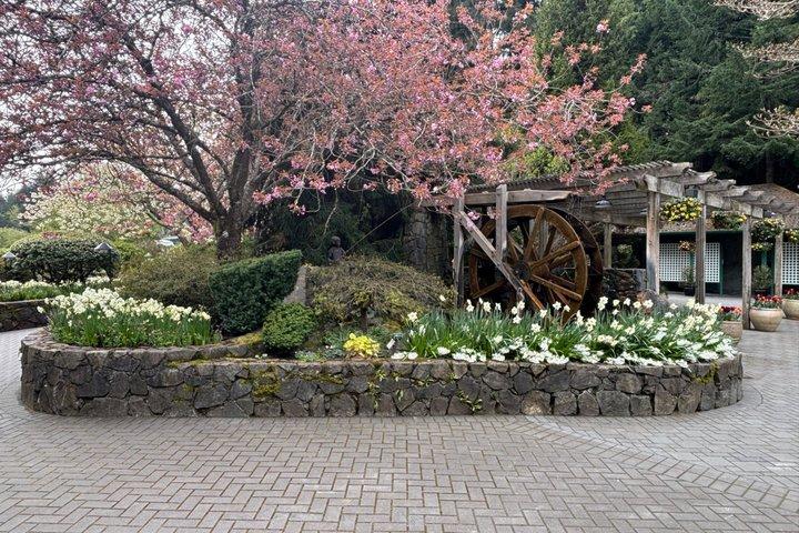 Visite privée d'une journée complète à Victoria et Butchart Gardens