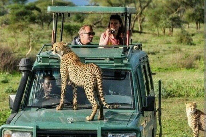 Ultime Safari au Kenya et visite culturelle | Maasai Mara, plages et plus