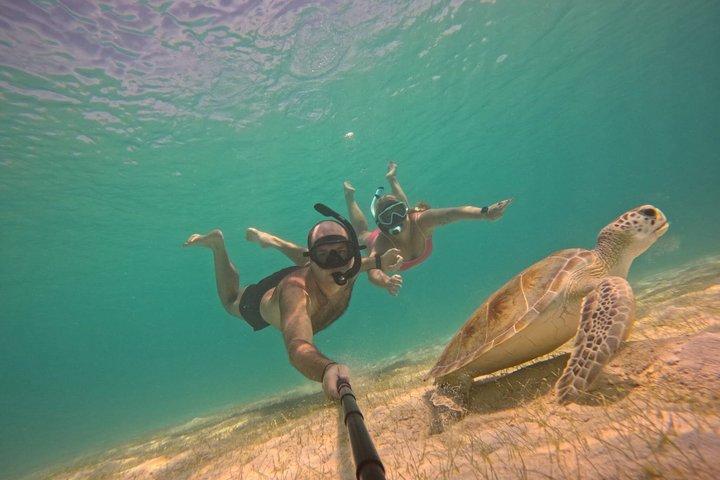 Aruba Private Jeep Tour with Local Guide