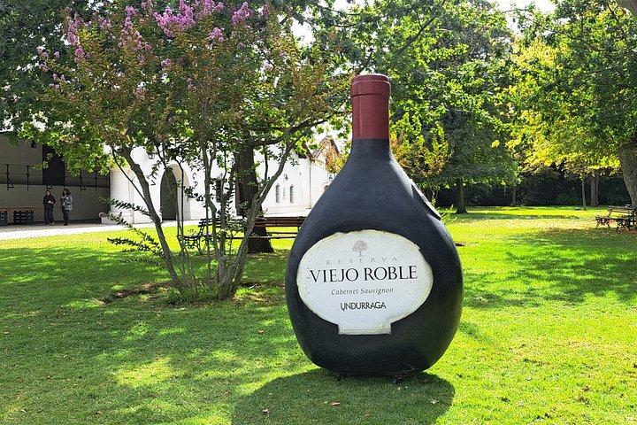 Experience at Undurraga: History and Tasting