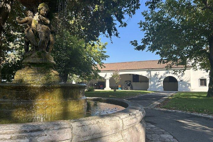 Experience at Undurraga: History and Tasting