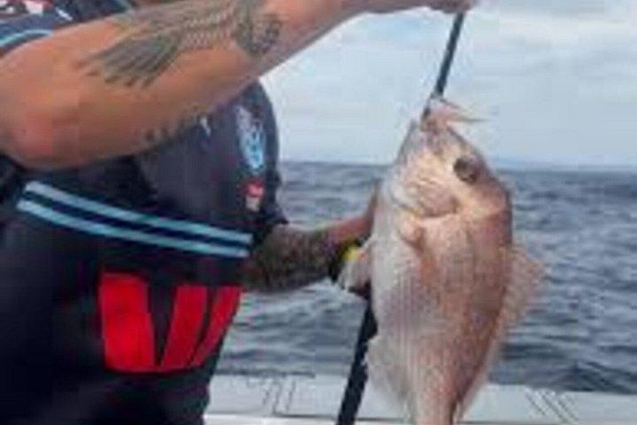 From Kotor Fishing Experience in Kotor Bay