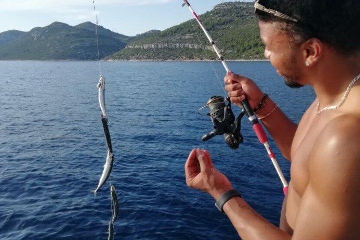 Van Kotor : Vissen in de baai van Kotor