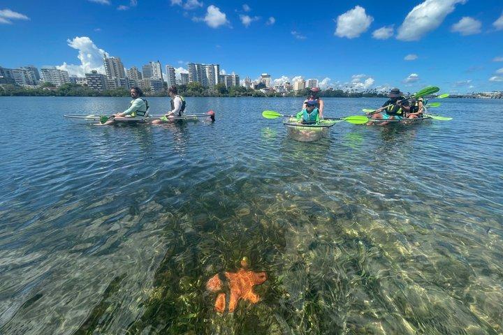 Clear Kayak Tour in Condado Lagoon