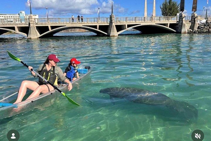 Clear Kayak Tour in Condado Lagoon