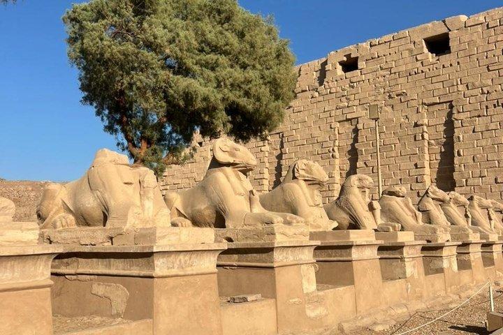 Privétour naar Luxor East Bank Karnak en Luxor Temple met pick-up