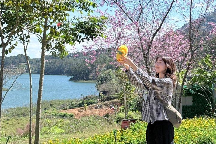 ダラットからニャチャン日帰り旅行：アルパインコースター＆絶景ハイライト
