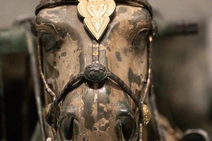 Terracotta Warriors Tickets Booking With Guide Option