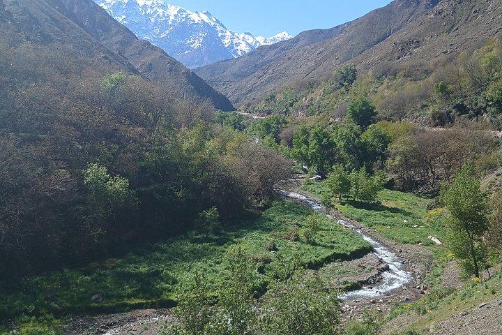 アトラスへの日帰りアドベンチャー： 文化、風景&ホームランチ