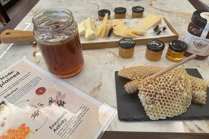 アテネオリーブオイルスナック体験付蜂蜜とワインの試飲