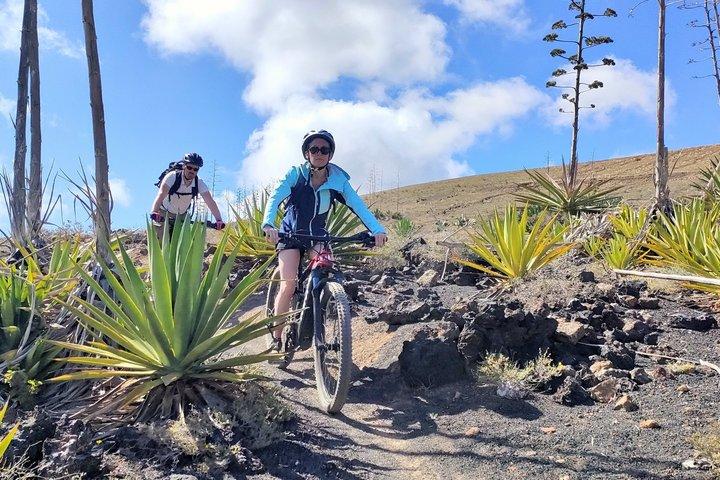 Lanzarote e-bike tour: Vulkaankraters & schilderachtige wijngaarden