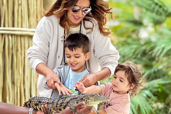 Dubai Crocodile Park Entry Ticket Discover Crocodiles Up Close