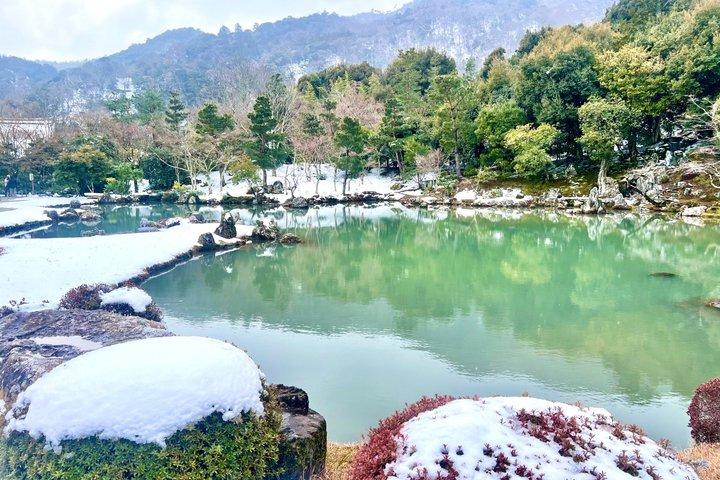 Bambushain Tempel und Gartenblick Tour
