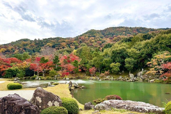 Bambushain Tempel und Gartenblick Tour