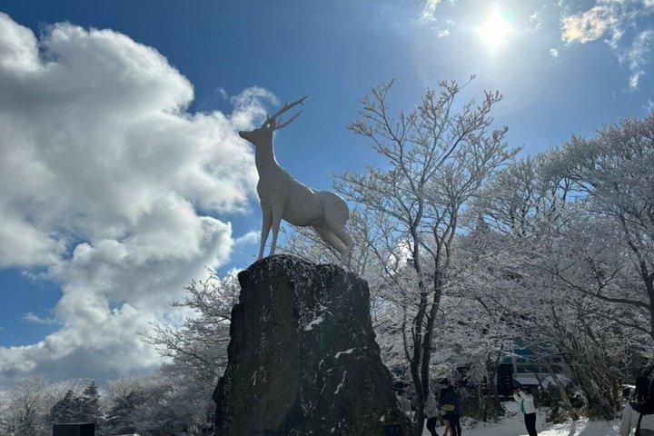済州島西部ルートと南部ルート観光日帰りツアー