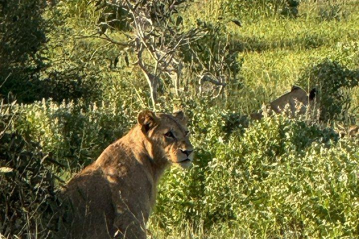 Elky Tours 2 Days Tsavo East Tour