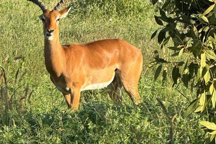 Elky Tours 2 Days Tsavo East Tour