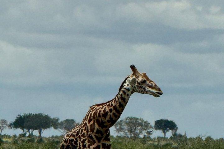 Elky Tours 2 Days Tsavo East Tour