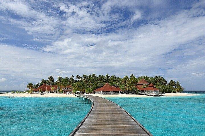 Excursión de un día de buceo en Racha y Coral Island