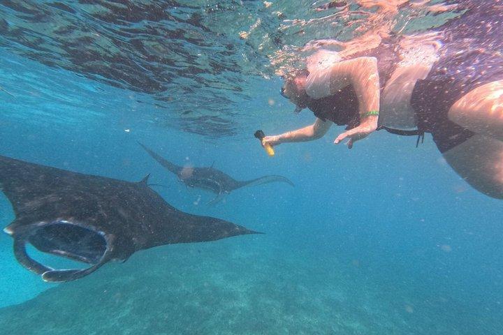 Excursão de um dia e atividades na ilha de Nusa Penida