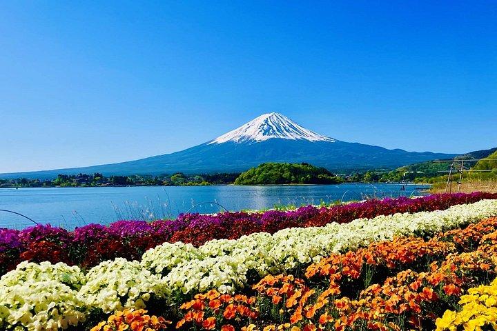 富士山ツアー:忠霊塔、大石公園&伝統の里