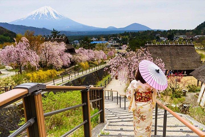 富士山ツアー：忠霊塔、大石公園＆伝統の里