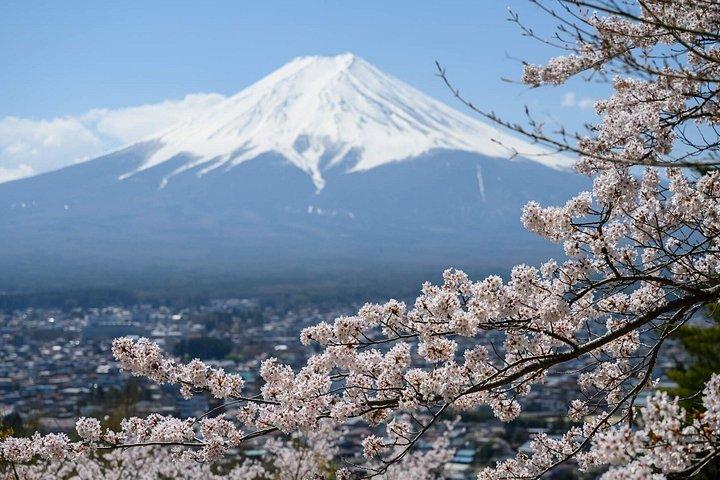 富士山ツアー：忠霊塔、大石公園＆伝統の里