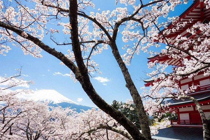 富士山ツアー：忠霊塔、大石公園＆伝統の里