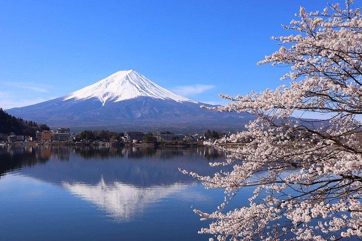 富士山ツアー：忠霊塔、大石公園＆伝統の里