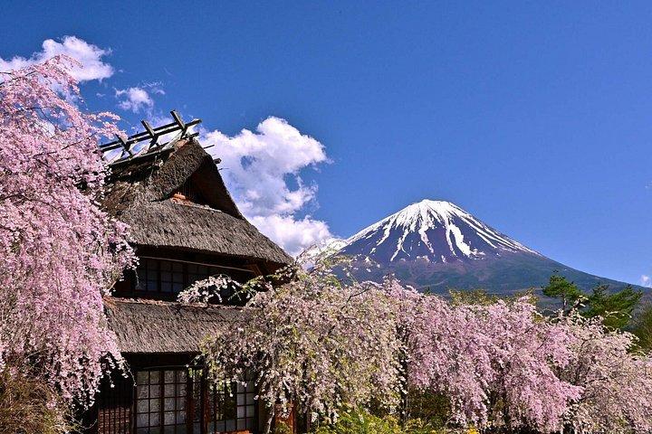 富士山ツアー：忠霊塔、大石公園＆伝統の里