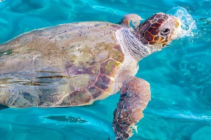 ザキントス海賊船クルーズ（海水浴場付き）