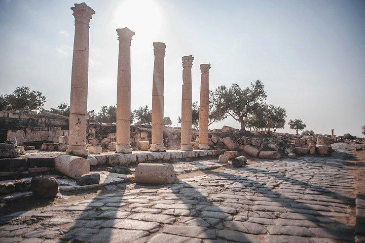 Jerash Private Day Tour From Amman