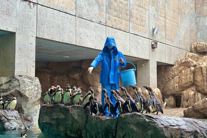 現地ガイド付き長崎1日プライベートツアー