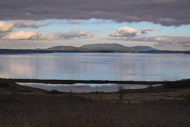 Scenic Hike with Stunning Views through Lush Forest Landscapes