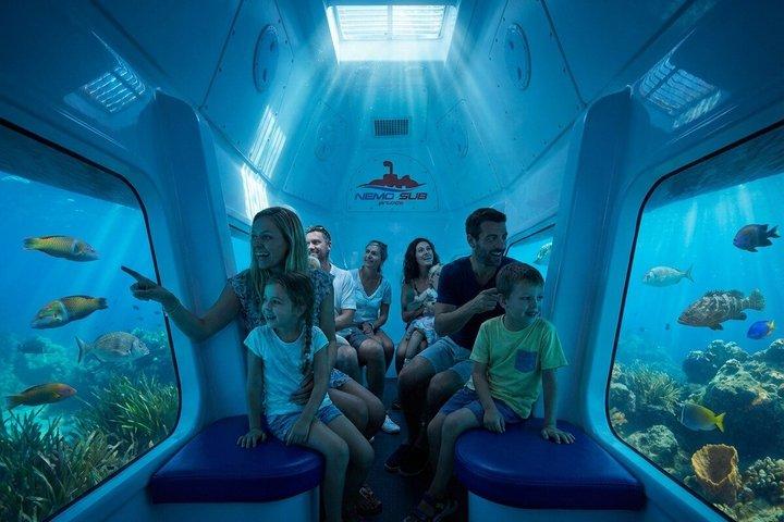 1-Hour Guided Semi-Submarine Tour to Isola Bella