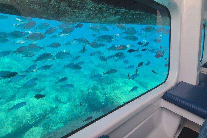 1-Hour Guided Semi-Submarine Tour to Isola Bella