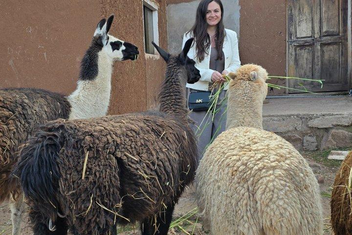 City Tour Cusco Private Transport