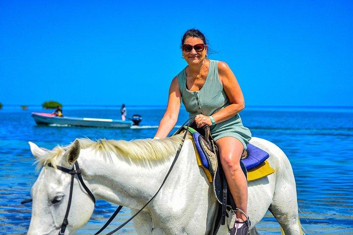 Hestetur i Ocho Rios