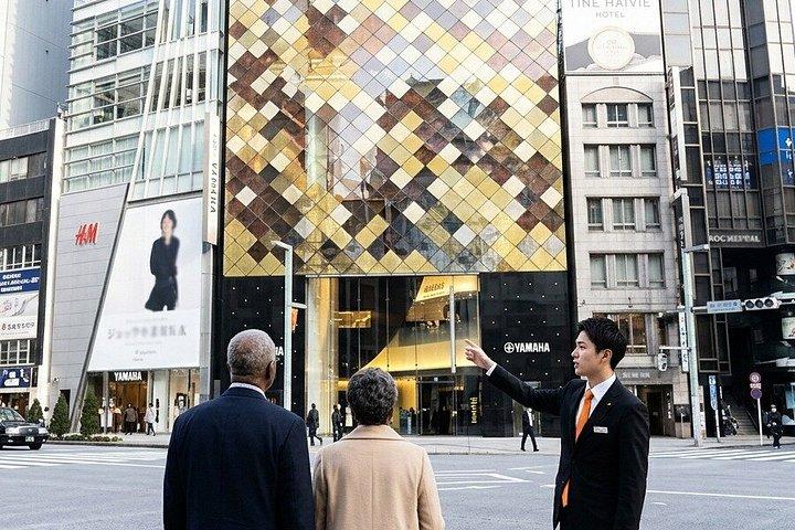 Private Tokyo Architecture Driver Guided Tour