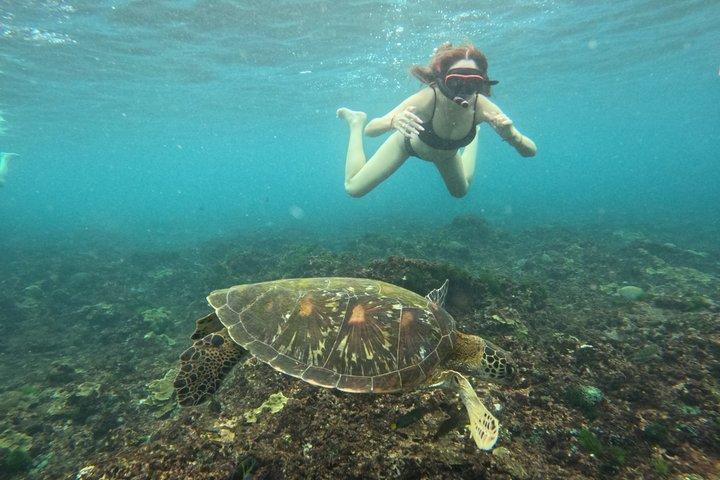 Excursão de um dia e atividades na ilha de Nusa Penida